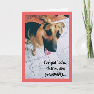 Looks and Personality Dog Valentine Holiday Card