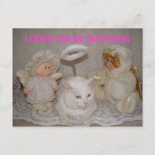 LOOKS CAN BE DECEIVING POSTCARD