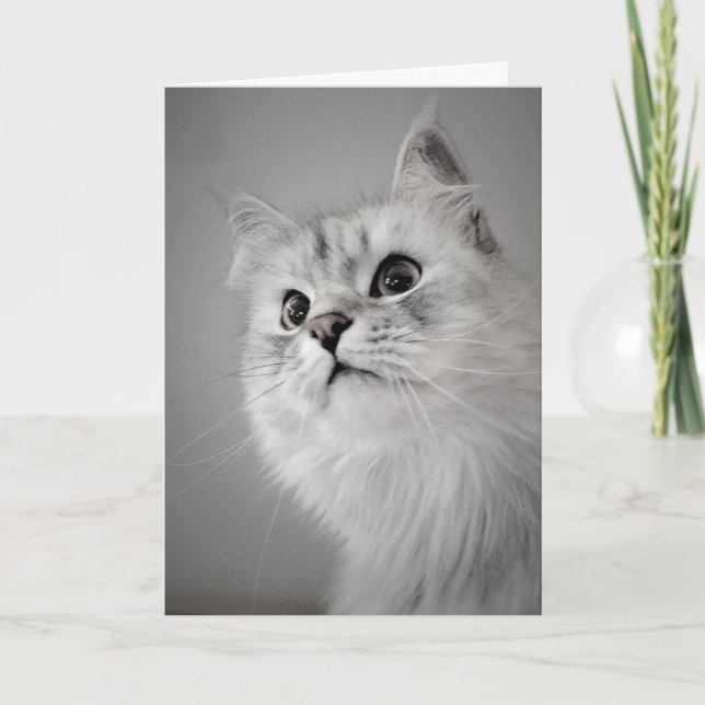 Looks Like It's Your Birthday! (Card) Card (Front)