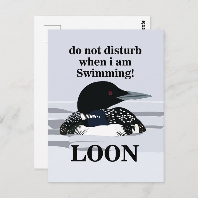 Loon Common Loon Bird Water Lake Funny Postcard (Front/Back)