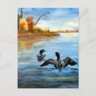Loon Dance II Postcard