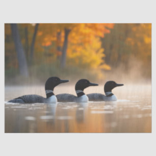Loon Family in Autumn Tissue Paper