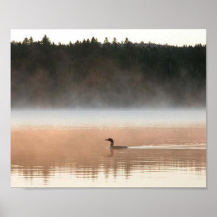 loon in the morning fog poster