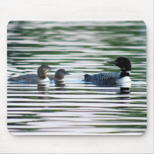 Loon Mousepad