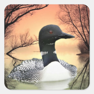 Loon On Lake Loon Reflections Call Of The Loon Square Sticker