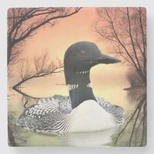 Loon On Lake Loon Reflections Call Of The Loon Stone Coaster