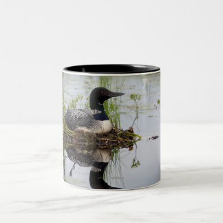 Loon on nest Two-Tone coffee mug