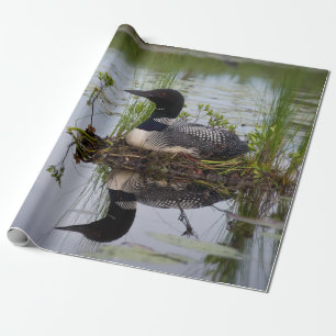 Loon on nest wrapping paper