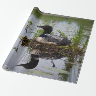 Loon on nest wrapping paper