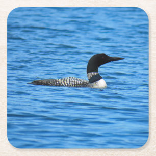 Loon pulpboard coasters