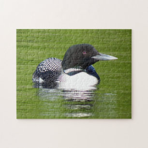 Loon Puzzle