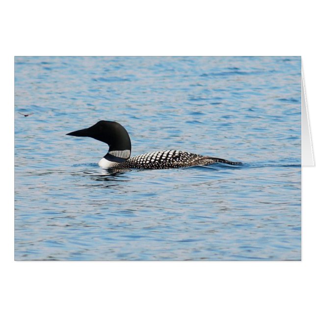 Loon Silhouette (Front Horizontal)
