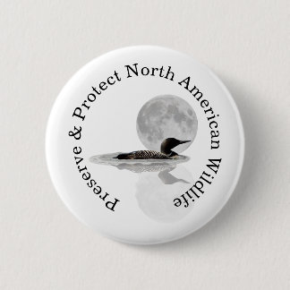 Loon Swims In The Moonlight Pin Button