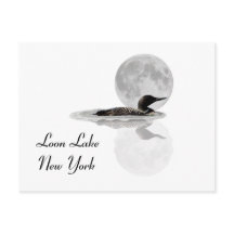 Loon Swims In The Moonlight Postcard