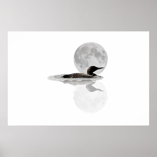 Loon Swims In The Moonlight Poster (Front)