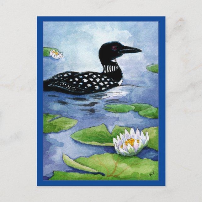 Loon, water fowl, nature, northern lake postcard (Front)