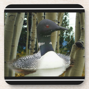 Loon Wilderness Beverage Coaster