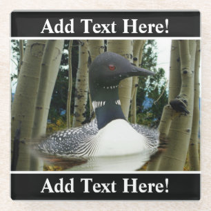 Loon Wilderness Glass Coaster