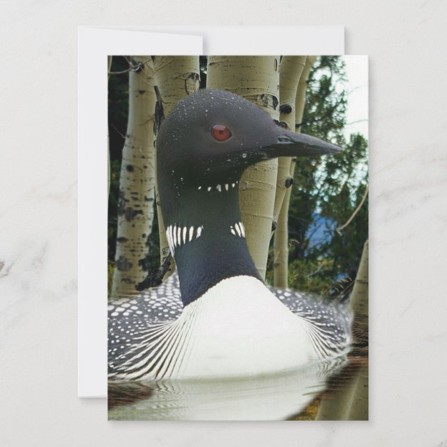 Loon Wilderness Invitation (Front)