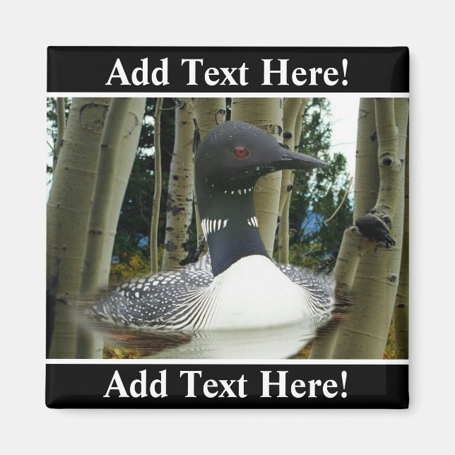 Loon Wilderness Magnet (Front)