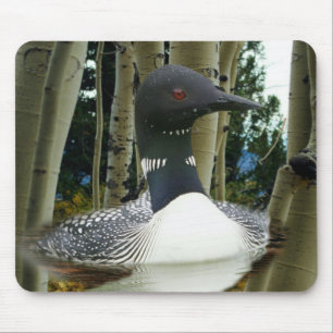 Loon Wilderness Mouse Mat
