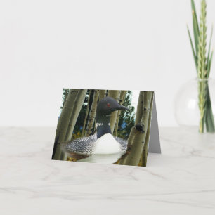 Loon Wilderness Note Card