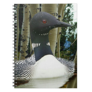 Loon Wilderness Notebook