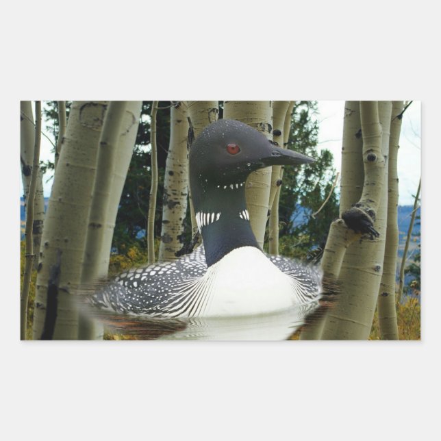 Loon Wilderness Rectangular Sticker (Front)