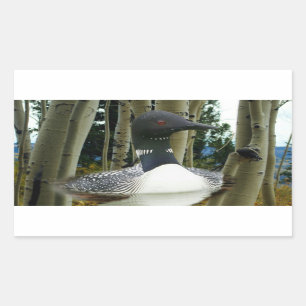 Loon Wilderness Rectangular Sticker