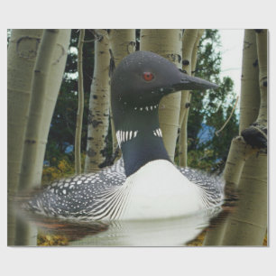 Loon Wilderness Wrapping Paper