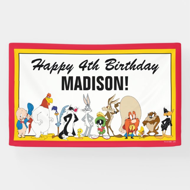 LOONEY TUNES™ Character Group | Birthday Banner (Horizontal)