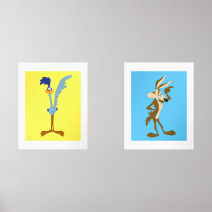 LOONEY TUNES™ ROAD RUNNER™ & WILE E. COYOTE™