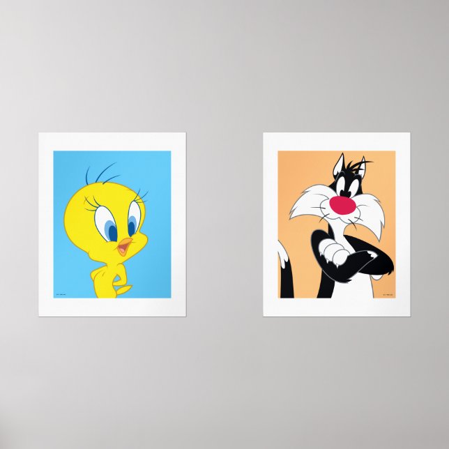 LOONEY TUNES™ TWEETY™ & Sylvester (Front)