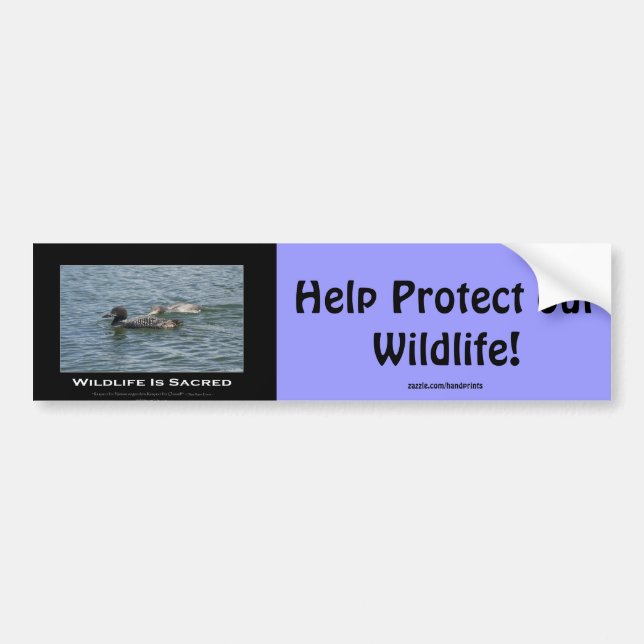 Loons Inspirational Gifts Bumper Sticker (Front)