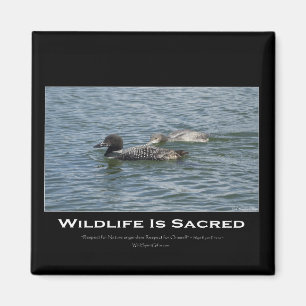Loons Inspirational Magnet