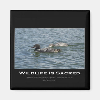 Loons Inspirational Magnet