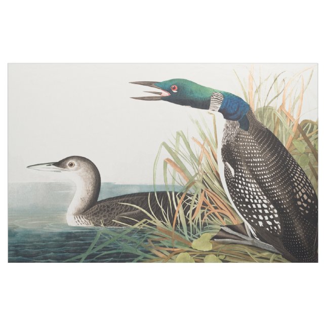Loons (Northern Diver) by John James Audubon Fabric (Yard)
