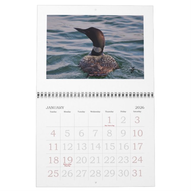 Loons on the Rideau Calendar (Jan 2026)