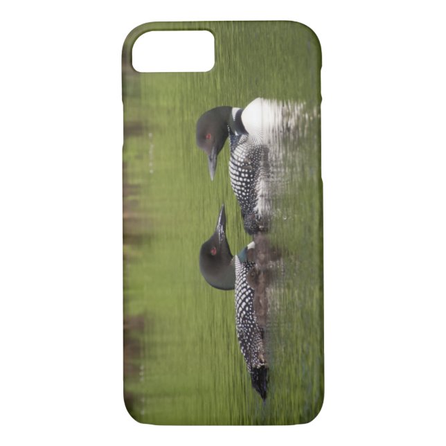 Loons with chicks phone case (Back)