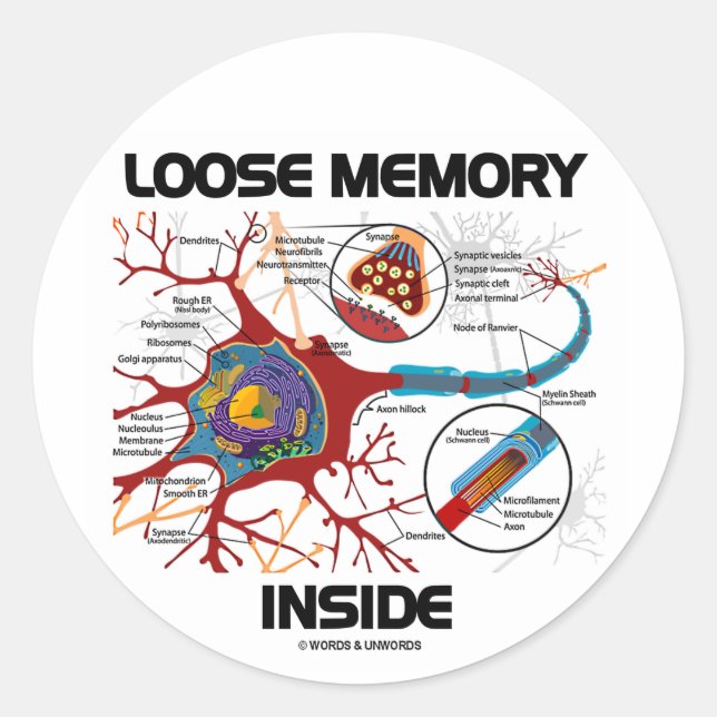 Loose Memory Inside (Neuron / Synapse) Classic Round Sticker (Front)