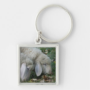 Lop-Eared Alpine Sheep Keychain