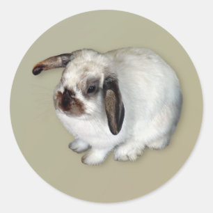 Lop-Eared Bunny Classic Round Sticker