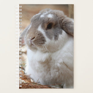 Lop-eared bunny planner