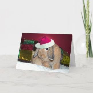 Lop Eared Bunny Xmas Card 1