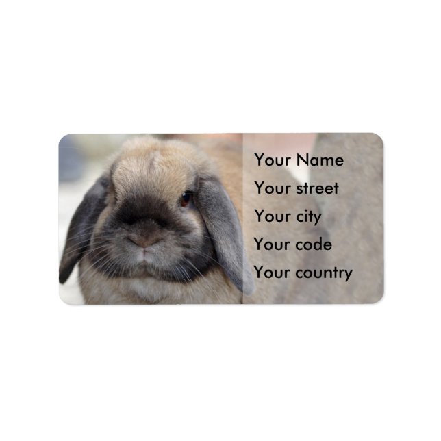 Lop eared dwarf rabbit label (Front)