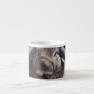 Lop Eared Rabbit Espresso Cup