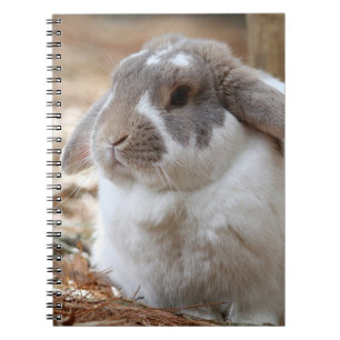 Lop-eared rabbit notebook