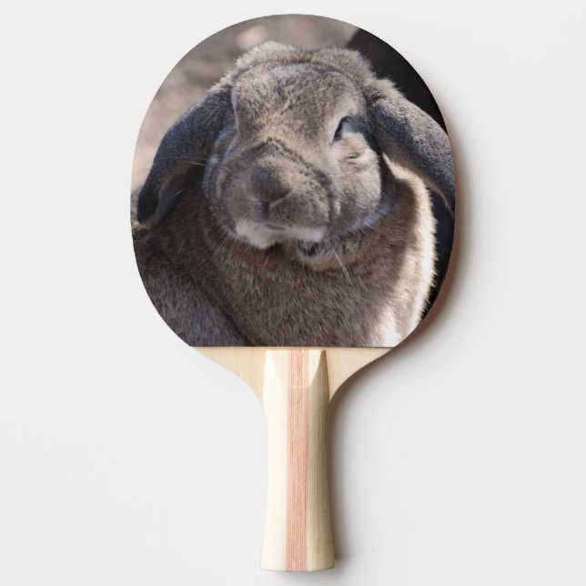 Lop Eared Rabbit Ping Pong Paddle (Front)