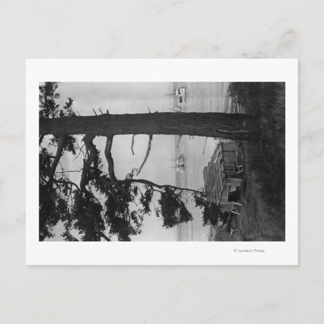 Lopez Island, WA - Fishing Boats In Bay Postcard (Front)