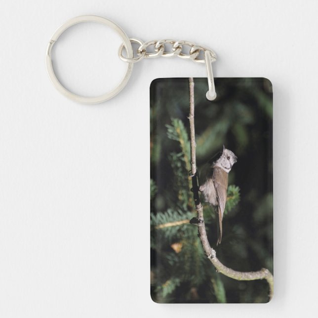 Lophophanes cristatus key ring (Front)
